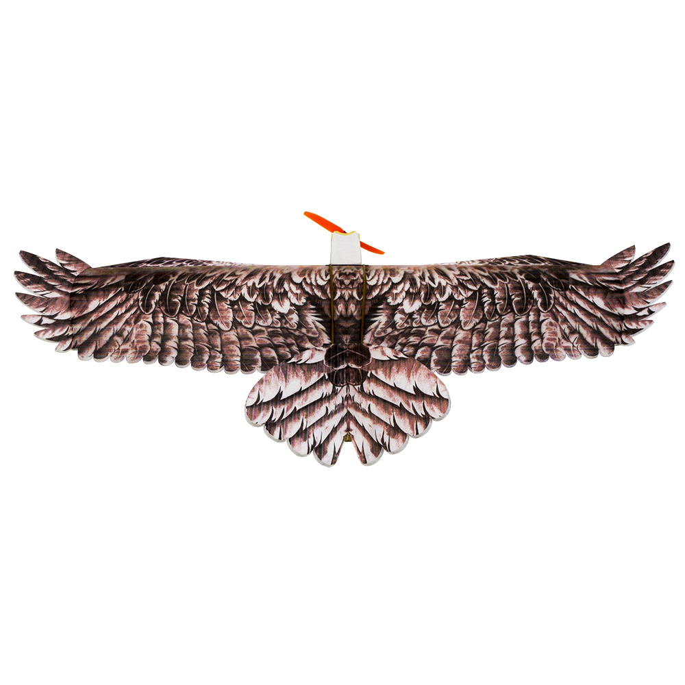 DW Hobby Eagle II EPP Avião RC - Rc Hobby Plane avaliação e preço